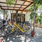 Hotel Dei Gerani Rimini