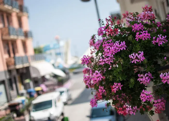 Dei Gerani 리미니